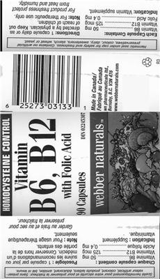 Vitamin B6, B12 With Folic Acid
