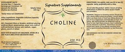 Photo of the Signature Supplements Choline 250 mg label