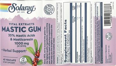 Mastic Gum 1000 mg