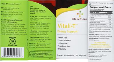 Vitali-T Energy Support