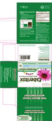 Photo of the Enzymatic Therapy Esberitox label