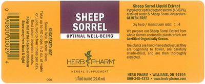 Sheep Sorrel