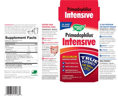 Primadophilus Intensive