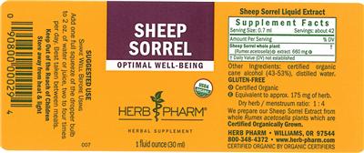 Sheep Sorrel