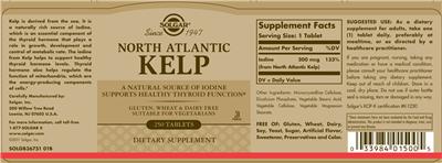 North Atlantic Kelp