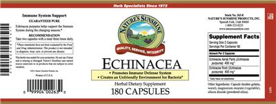 Echinacea