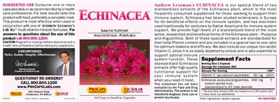 Echinacea
