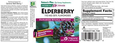 Elderberry 110 mg