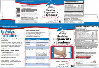 Photo of the Terry Naturally Healthy Ligaments & Tendons label