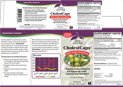 Photo of the Terry Naturally CholestCaps label