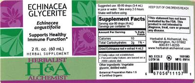 Photo of the Herbalist & Alchemist Echinacea Glycerite label
