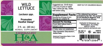 Wild Lettuce