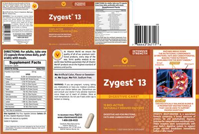 Photo of the Vitamin World Zygest 13 label
