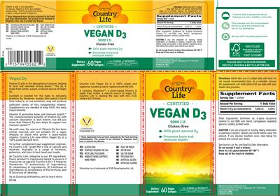 Photo of the Country Life Vegan D3 5000 IU label