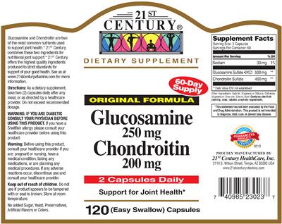 Photo of the 21st Century Glucosamine 250 mg & Chondroitin 200 mg label