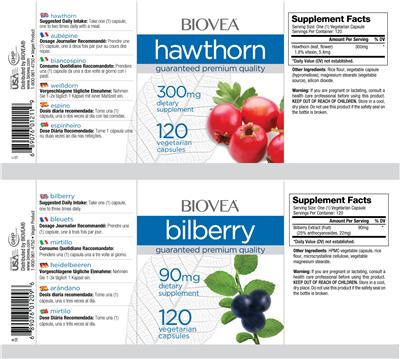 Photo of the BIOVEA Bilberry 90 mg label