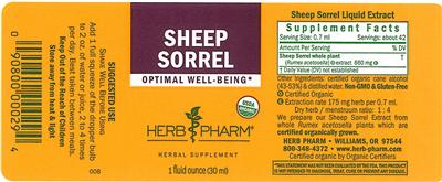 Sheep Sorrel