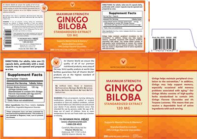 Photo of the Vitamin World Ginkgo Biloba 120 mg label