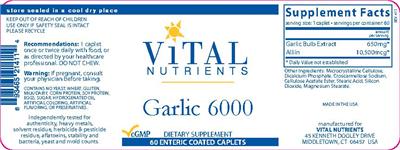 Garlic 6000