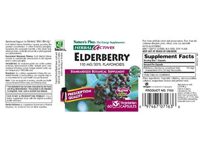 Elderberry 110 mg