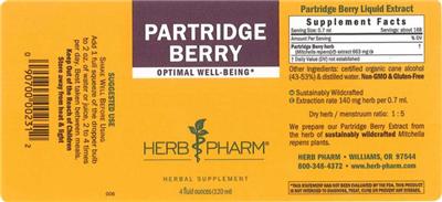 Partridge Berry