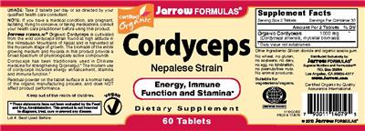 Cordyceps