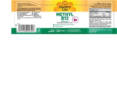 Photo of the Country Life Methyl B12 3000 mcg Berry Flavor label