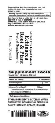Echinacea Root & Plant