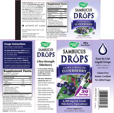 Sambucus Drops Ultra-Strength Elderberry