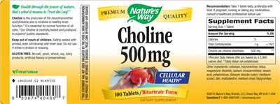 Photo of the Nature's Way Choline 500 mg label