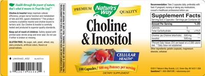 Photo of the Nature's Way Choline & Inositol label