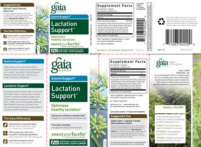 Lactation Support