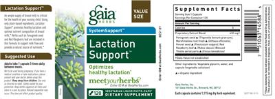 Lactation Support