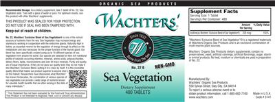 Photo of the Wachters' No. 22 B Sea Vegetation label
