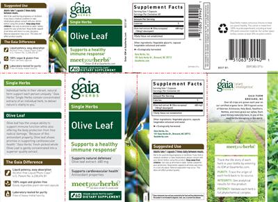 Photo of the Gaia Herbs Single Herbs Olive Leaf label