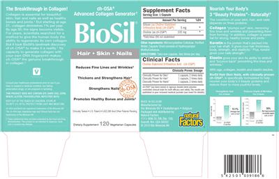 Photo of the Natural Factors BioSil Hair Skin Nails label