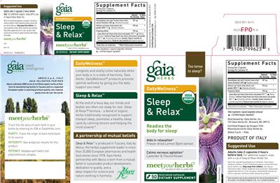 Photo of the Gaia Herbs DailyWellness Sleep & Relax label