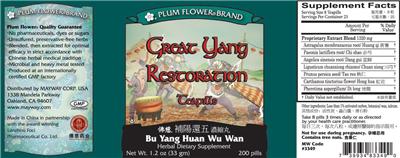Photo of the Plum Flower Brand Great Yang Restoration Teapills Bu Yang Huan Wu Wan label