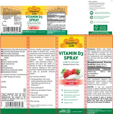 Photo of the Country Life Vitamin D3 Spray 2,000 IU Strawberry Flavor label