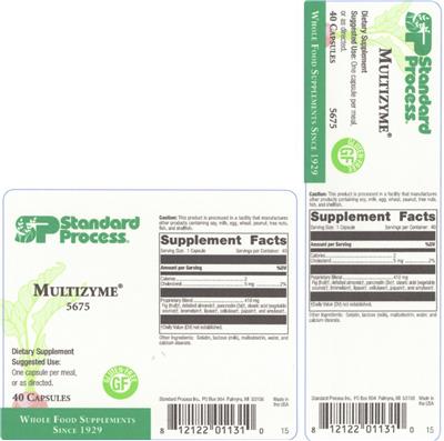 Photo of the SP Standard Process Multizyme label