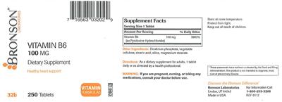 Photo of the Bronson Laboratories Vitamin B6 100 mg label