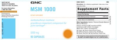 MSM 1000