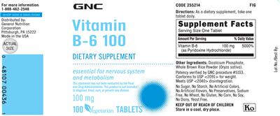 Vitamin B-6 100